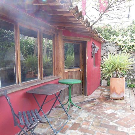 Maison Dans Jardin Villeseque-des-Corbieres Exterior foto